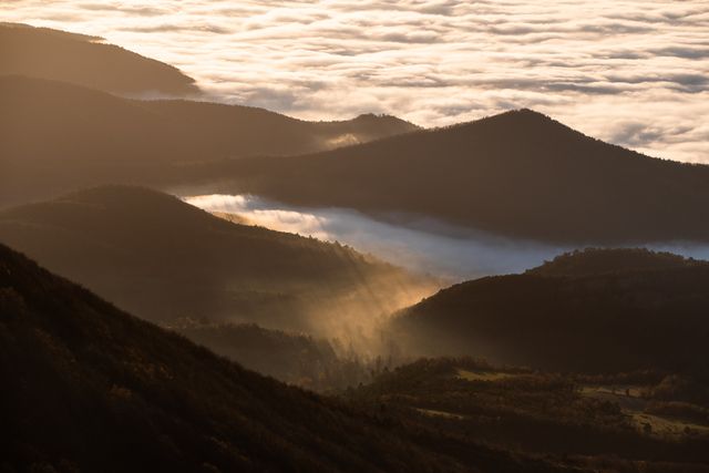 Ombre et lumière